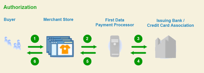 Card processing-authorization process infographic